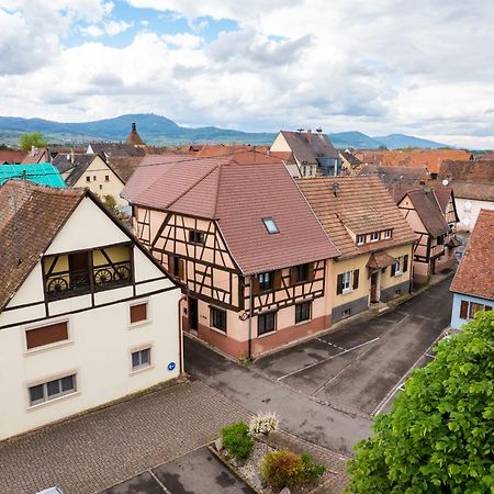 La Ruine - Gite D'Alsace Jusqu'A 10 Personnes Avec Spa Interieur Guémar Екстериор снимка